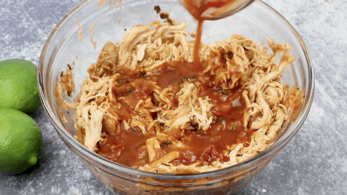 Salsa Chicken